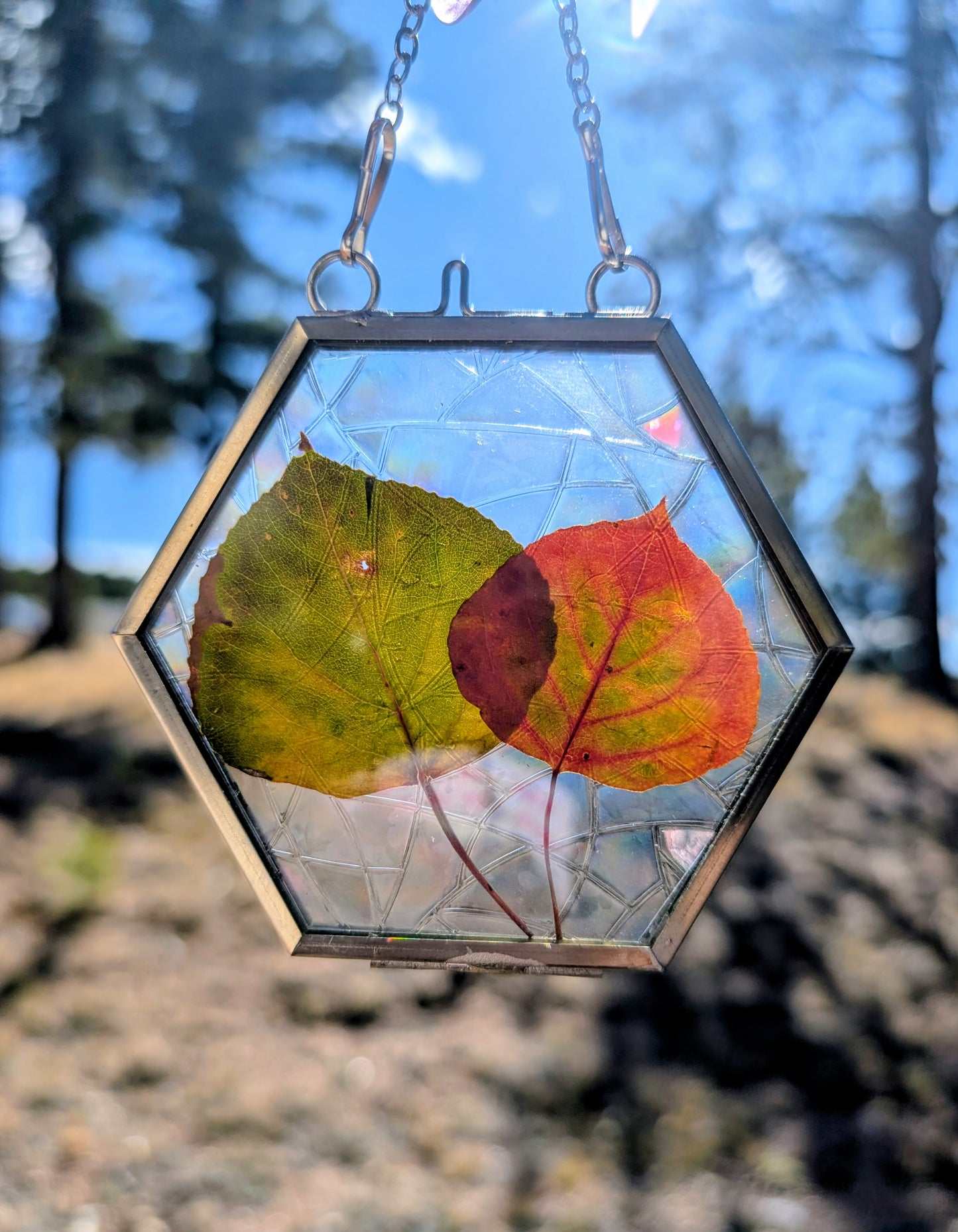 Aspen Leaf Ornaments