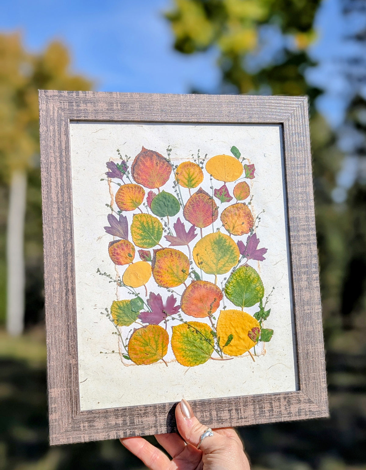 Colorado Wildflower Window Aspen Statement Piece