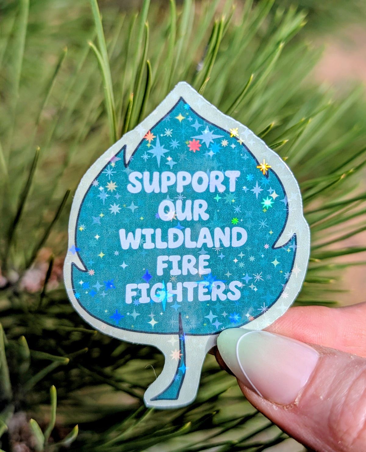 Support Wildland Firefighters, Climate Change, Protect Our Public Lands Glitter Vinyl Sticker