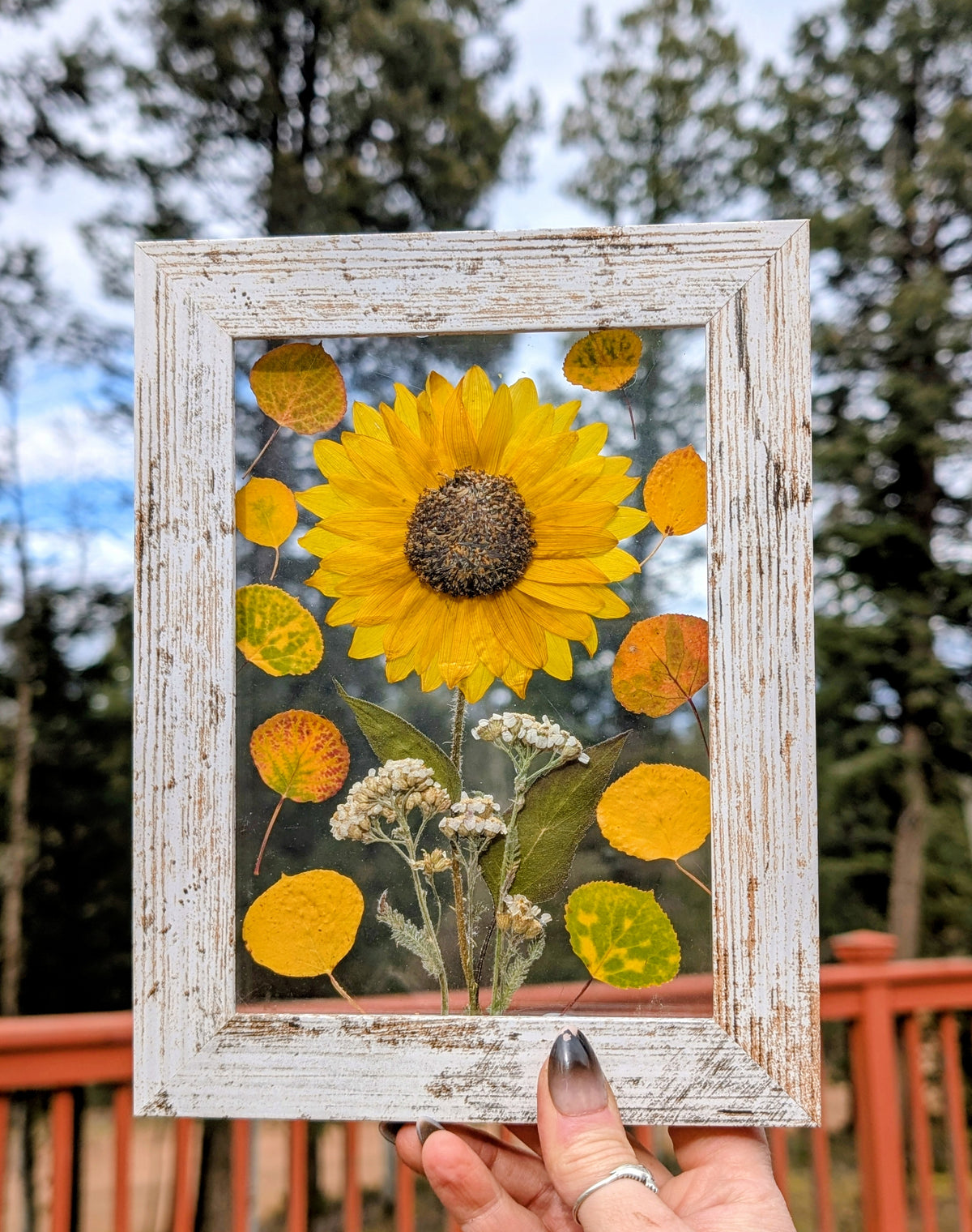 Colorado Wildflower Window Autumn Sunflower and Aspen Statement Piece