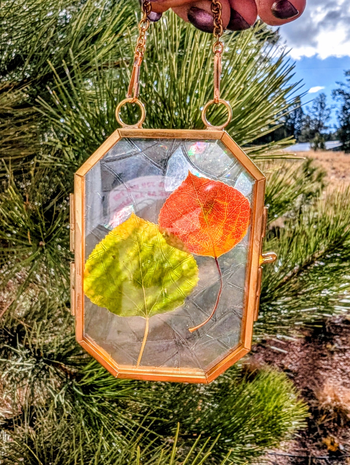 Aspen Leaf Ornaments